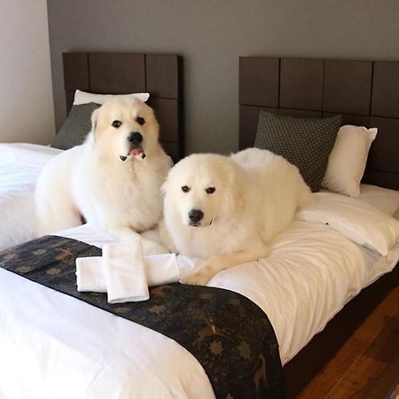Miyajima Shiro Hotell Hatsukaichi Exteriör bild